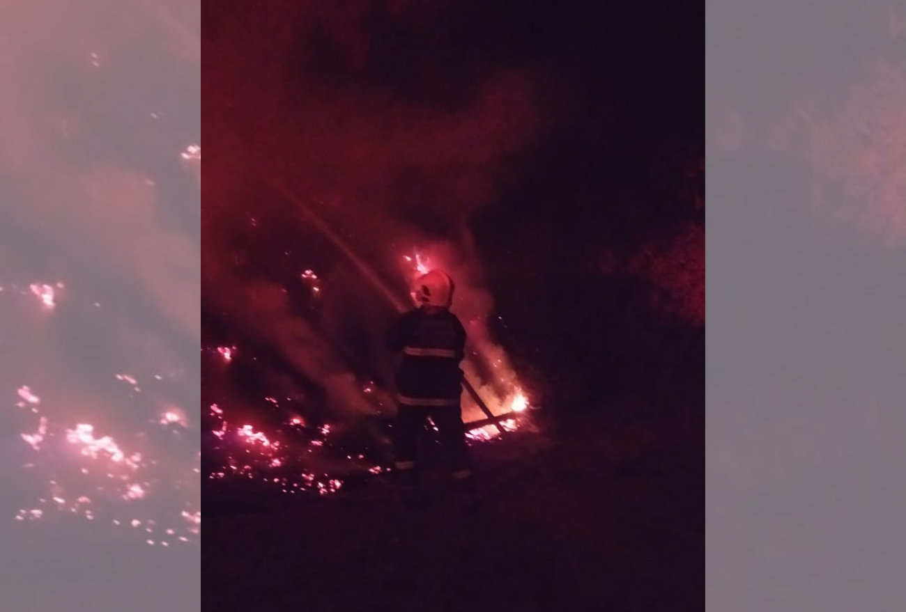 Bombeiros combatem incêndio em madeireira