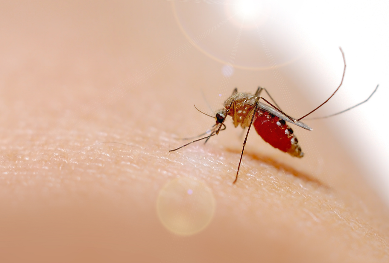 Semana inicia com aumento nos casos de Dengue em Faxinal dos Guedes. Confira!