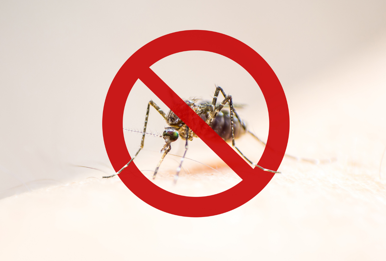 Estado confirma a primeira morte em decorrência da Dengue em Irani