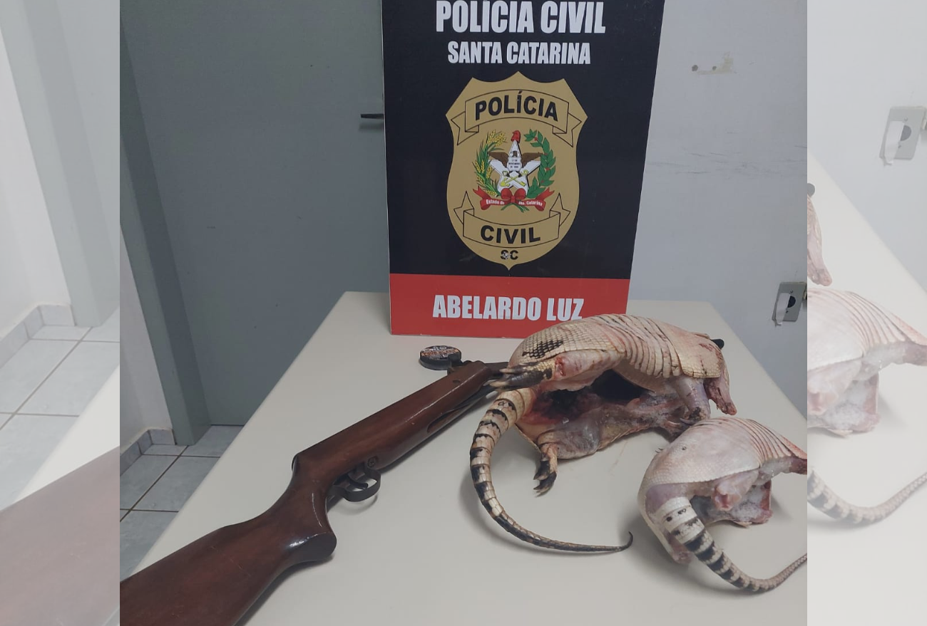 Polícia Civil cumpre mandado de busca e encontra animais silvestres mortos