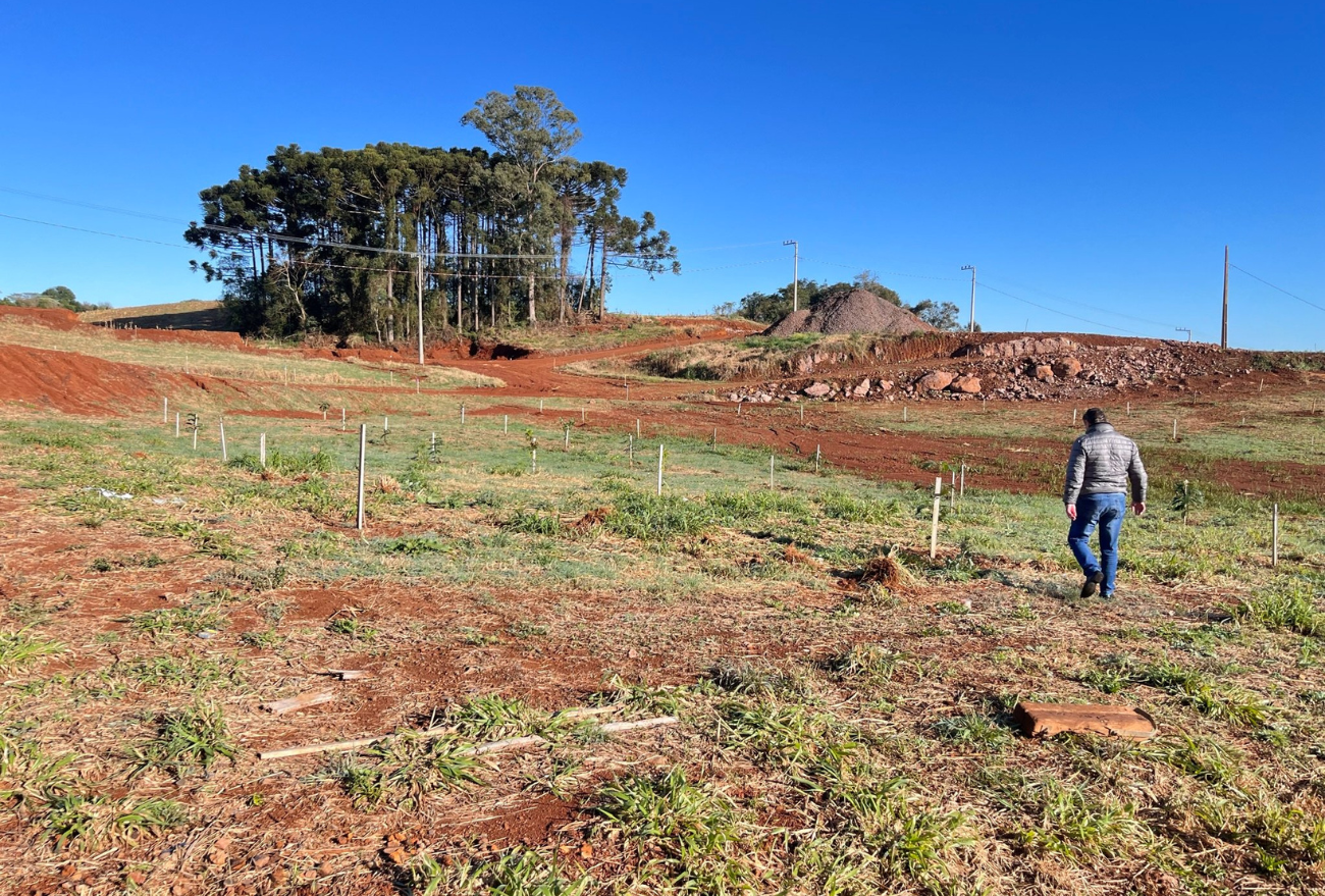 Loteamento Horizonte I de Vargeão recebe plantio de novas mudas frutíferas