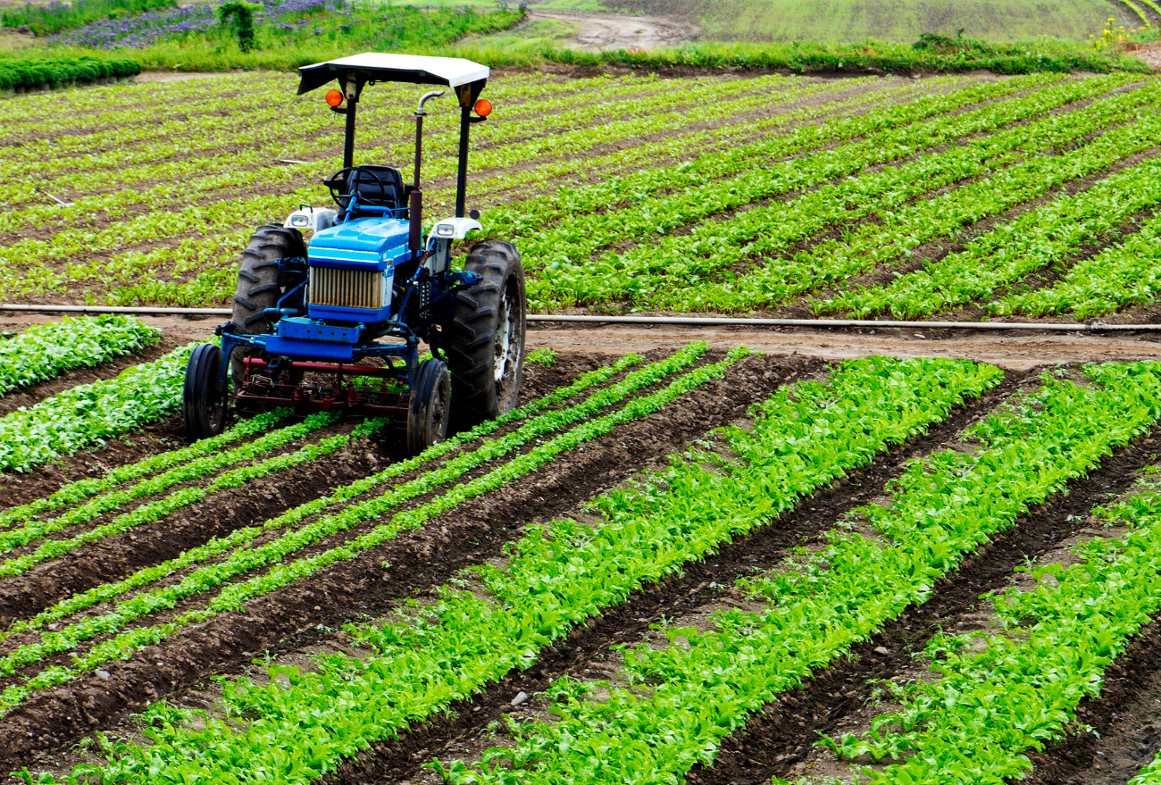 Secretaria de Agricultura de Ipumirim comunica que o Certificado de Imóvel Rural está disponível