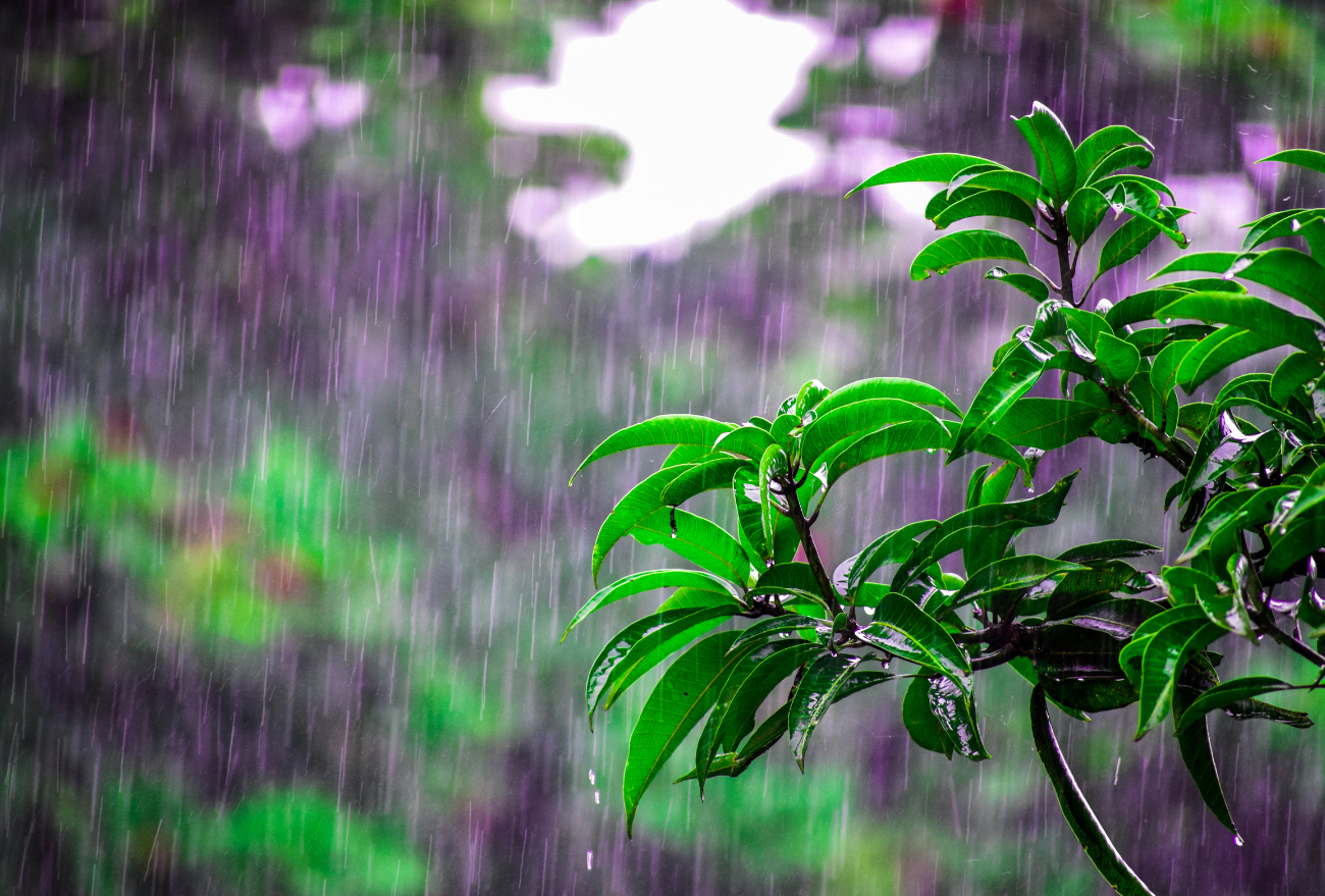 Previsão do tempo aponta pancadas de chuva nesta quinta-feira (28), em Faxinal dos Guedes