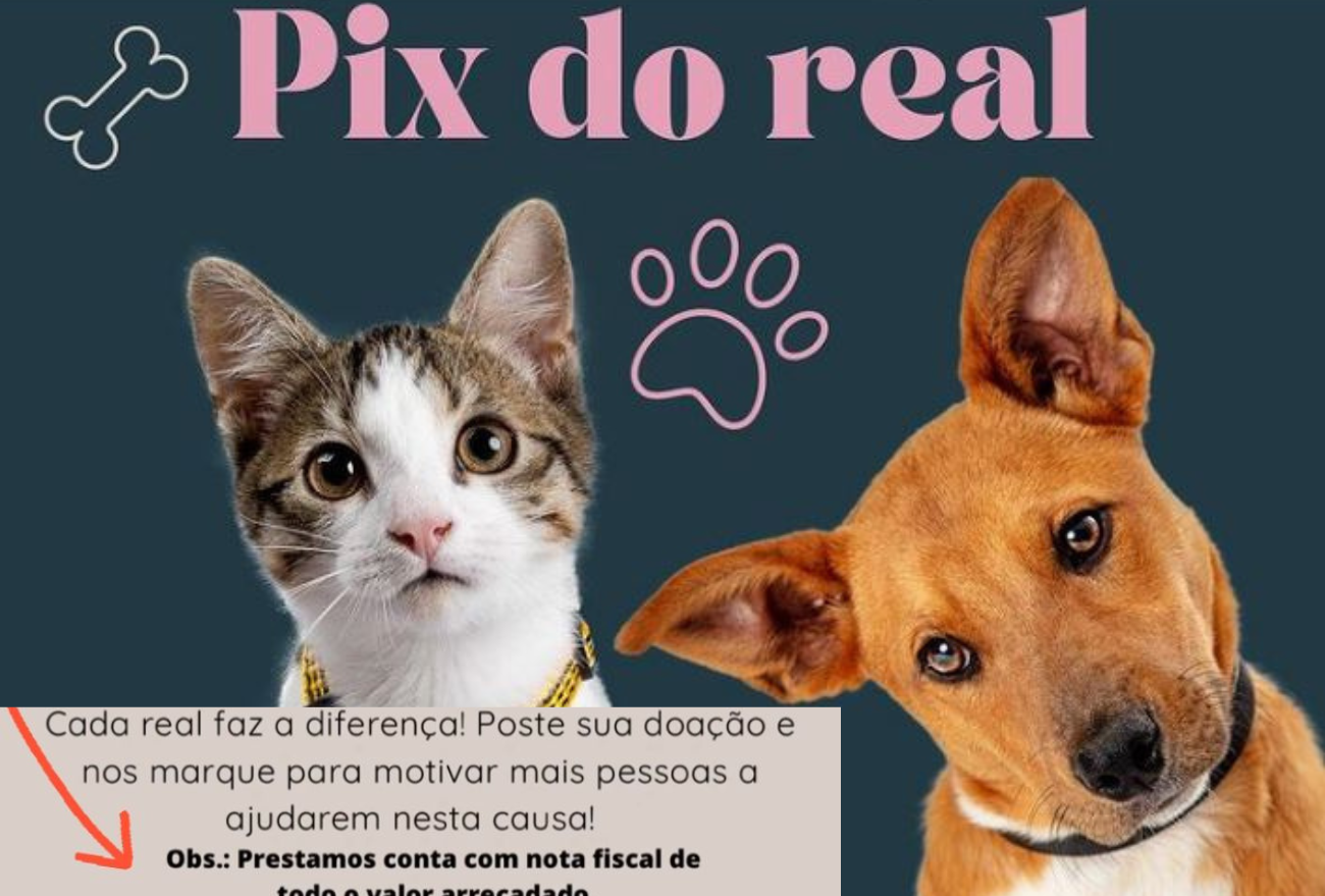 ONG Bem Estar Animal realiza o fim de semana “D”, dois dias do pix do real. Ajude você também!