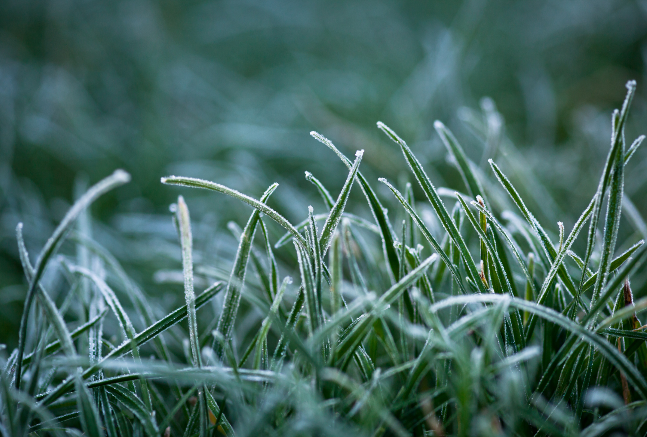 Calor dá lugar a frio e condição de neve novamente