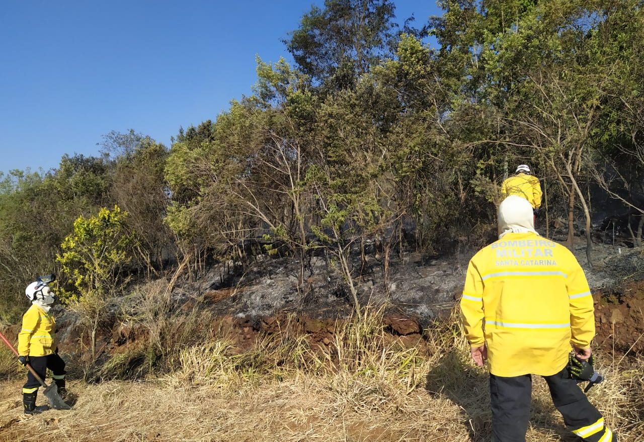 Corpo de Bombeiros atende incêndio florestal no Oeste