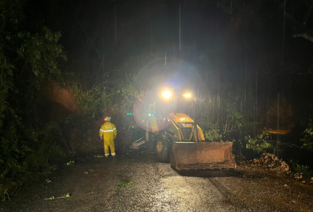 Após muita chuva, árvore cai sobre a via no interior de Faxinal dos Guedes