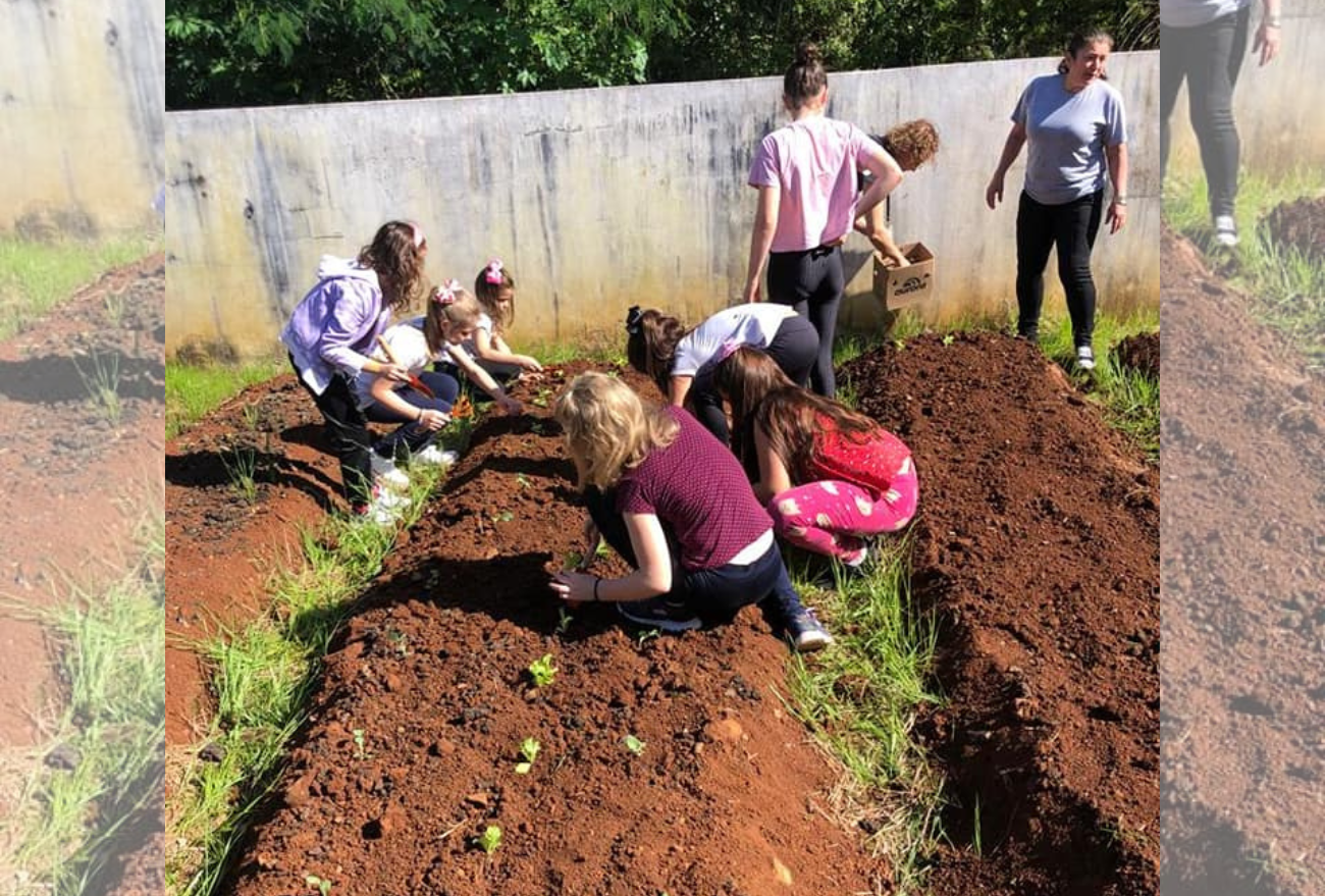 Projeto do Cras de Ipumirim incentiva crianças ao cultivo de hortaliças