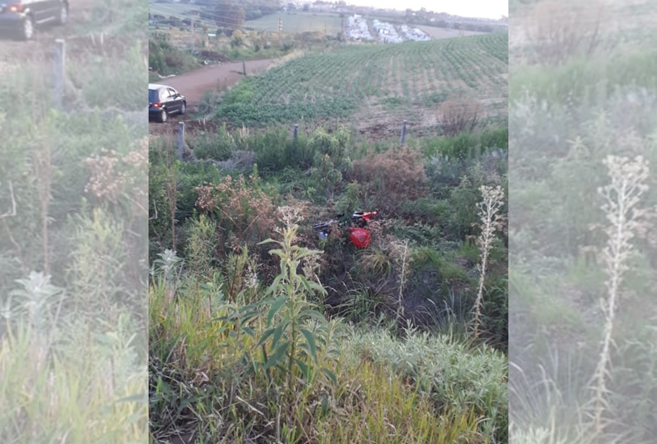 Família pede ajuda para identificar condutor de veículo que se evolveu em acidente e fugiu do local