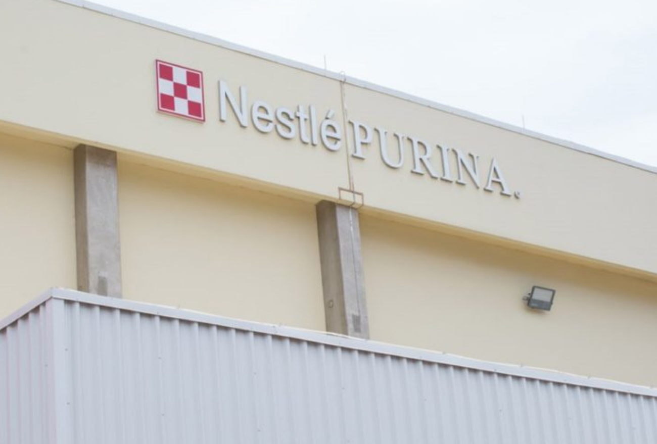 Vereador de Faxinal dos Guedes anuncia 28 vagas de trabalho na Nestlé Purina