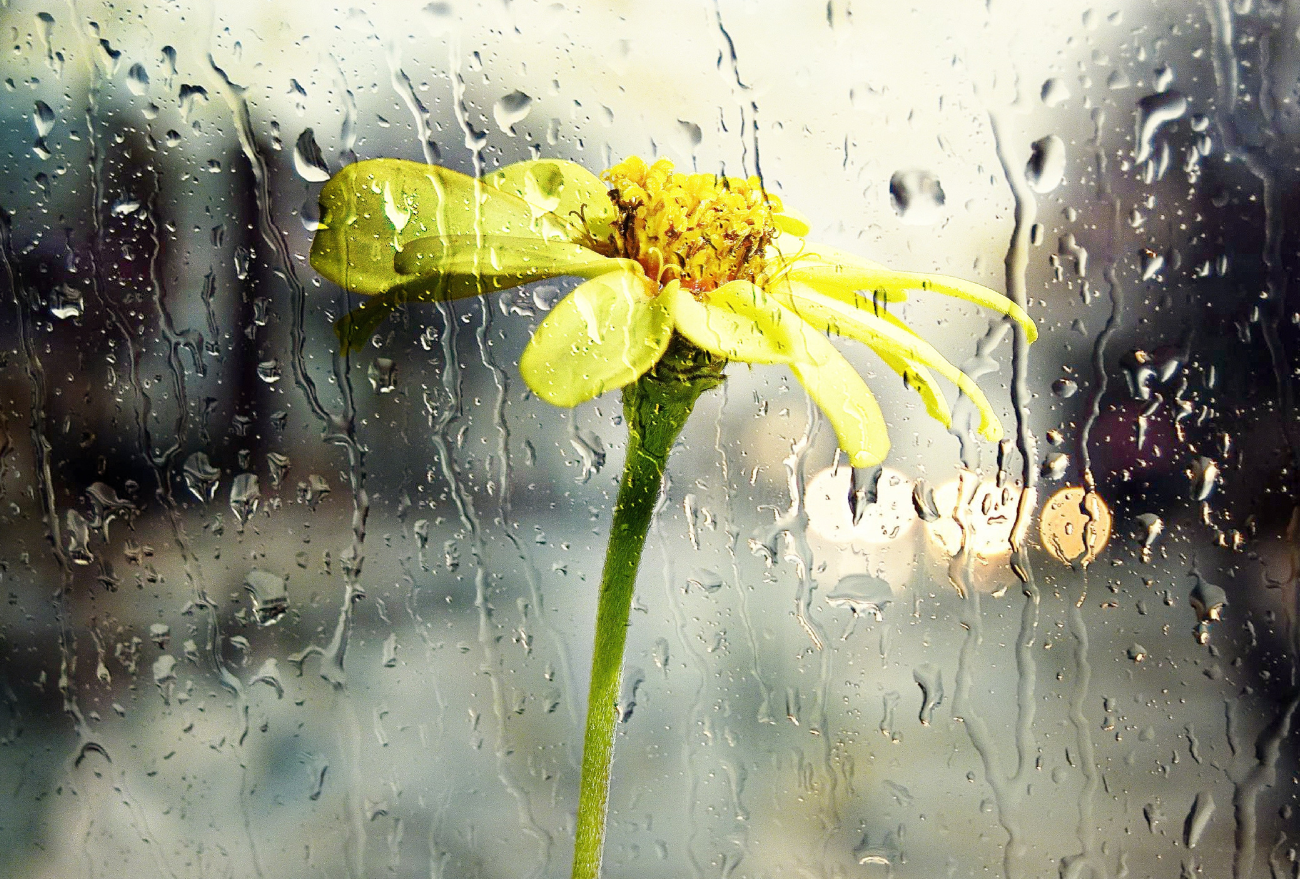 Semana inicia com previsão para pancadas de chuva em Faxinal dos Guedes