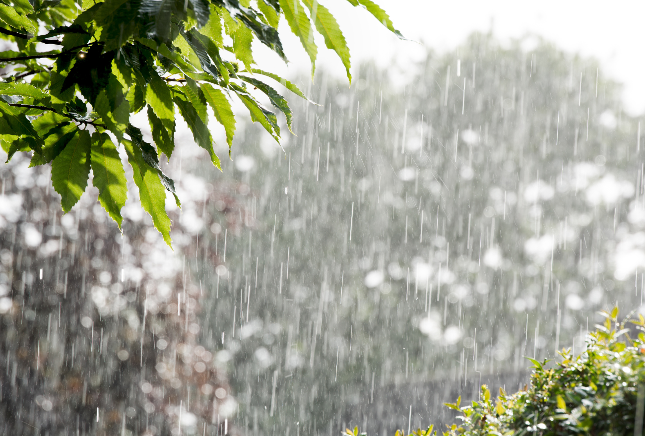 Previsão para pancadas de chuva nesta sexta-feira (02), em Faxinal dos Guedes