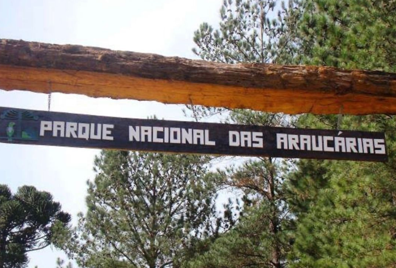 Conheça o Parque Nacional das Araucárias