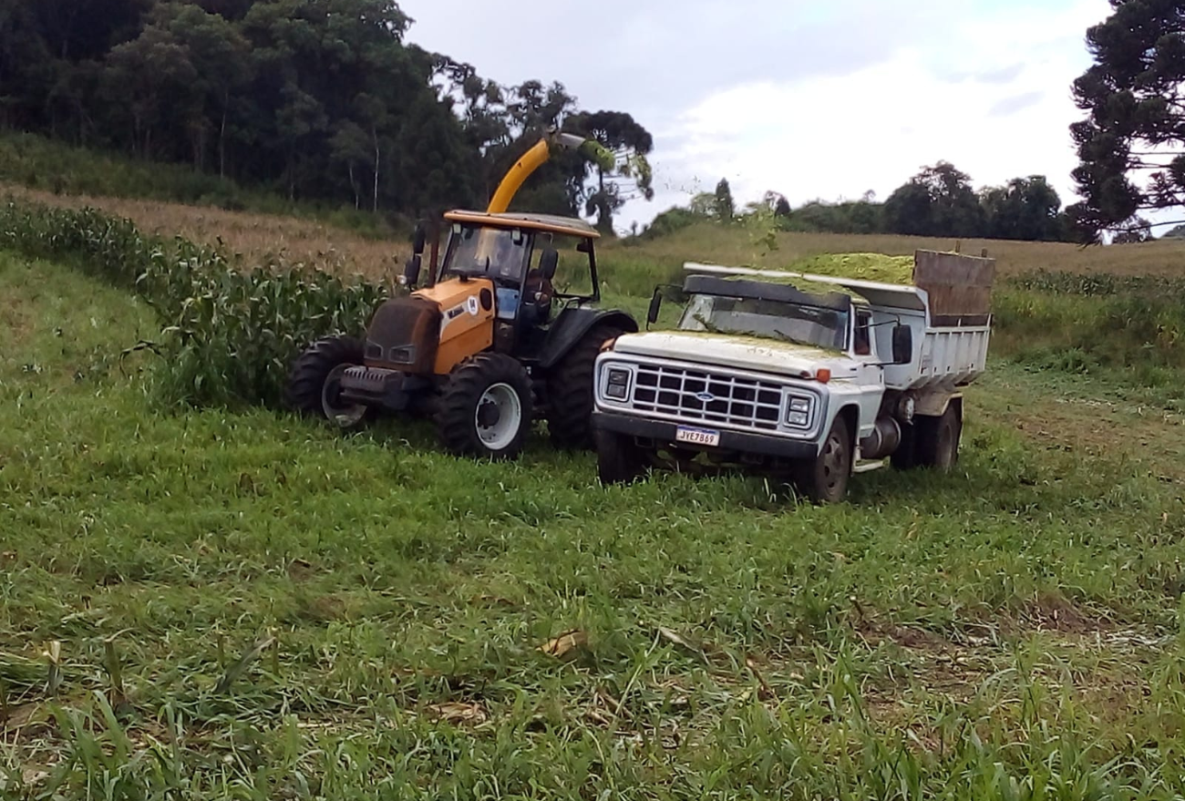 Secretaria da Agricultura de Passos Maia já auxilia mais de 20 propriedades na produção de silagem