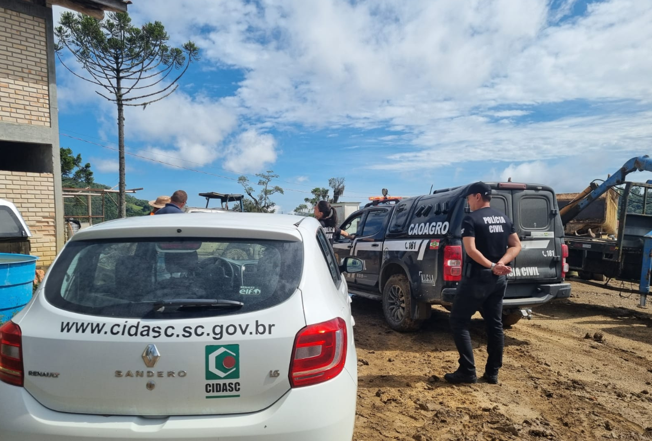 Fiscalização conjunta identifica graves irregularidades em rebanho bovino