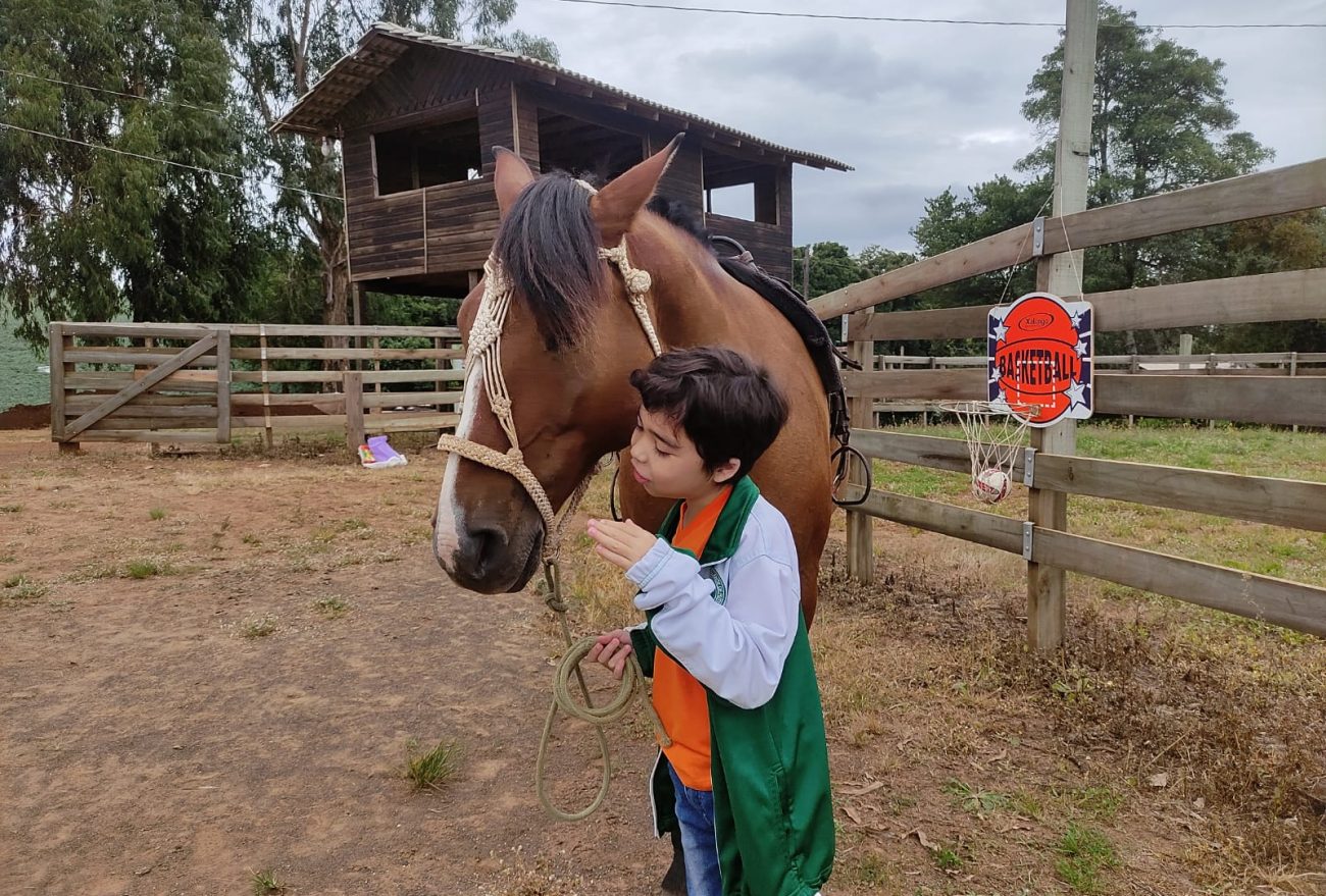 Lance no Campo: Apae de Faxinal dos Guedes desenvolve terapia com cavalos