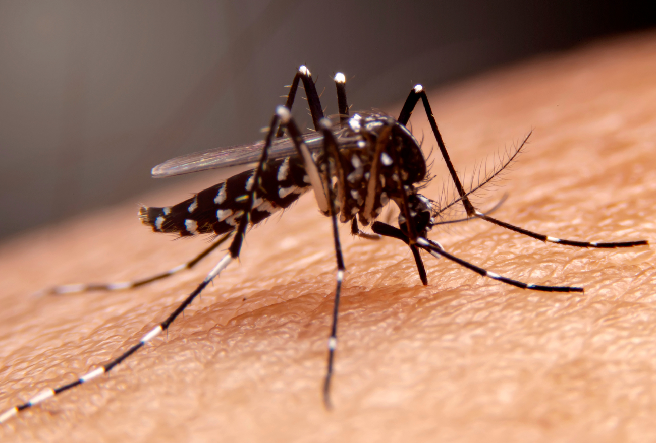 Primeira morte por dengue em 2023 é registrada em município do Oeste