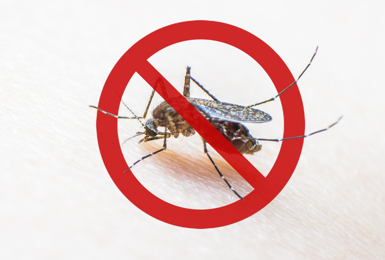 DIVE confirma morte por dengue, em município do Oeste