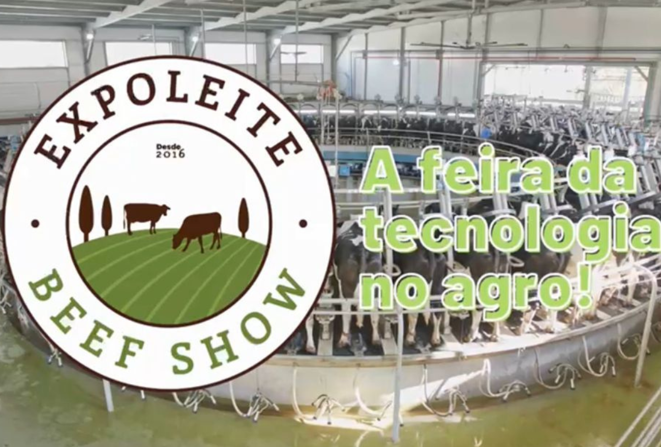 Expo Leite BeefShow volta em sua 2ª edição, a maior feira de bovinos do Oeste de Santa Catarina