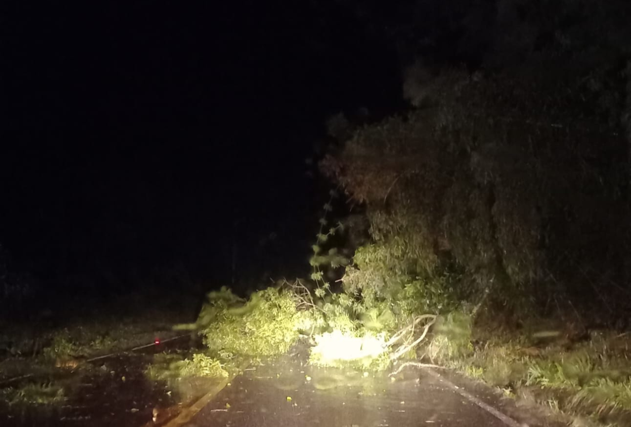 Defesa Civil registra danos após temporal durante a madrugada desta sexta-feira (11) em Passos Maia