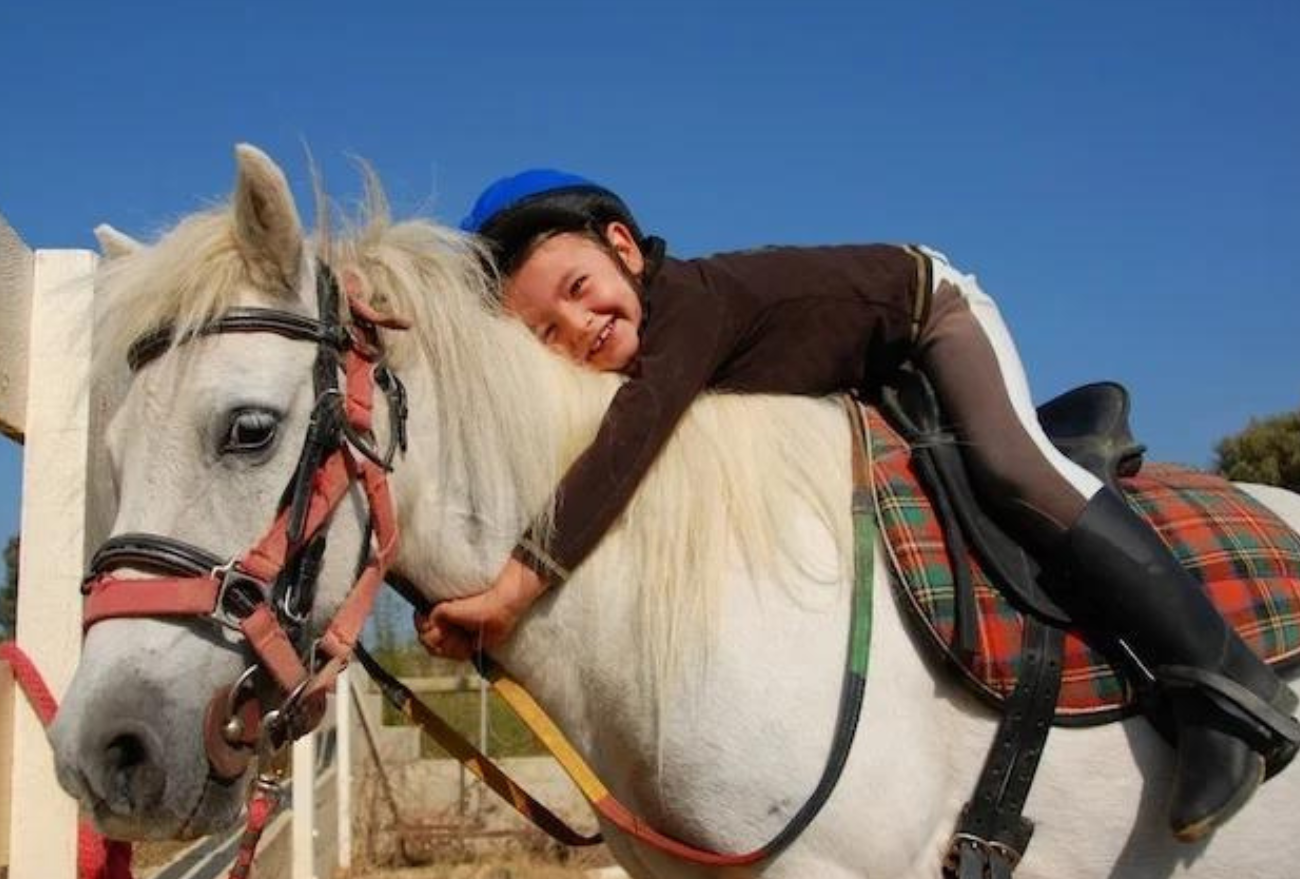 Dia nacional da Equoterapia: promovendo saúde e bem-estar por meio de cavalos