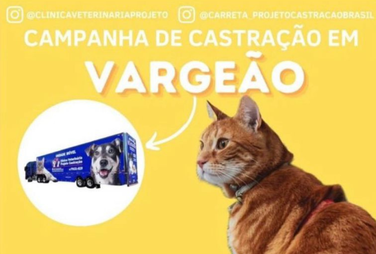 Campanha de castração acontece nessa terça-feira (22), em Vargeão