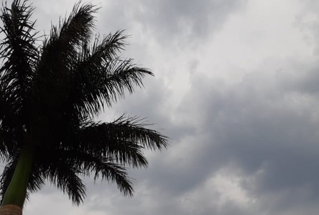 Confira a previsão do tempo para esta quinta-feira (28), em Faxinal dos Guedes