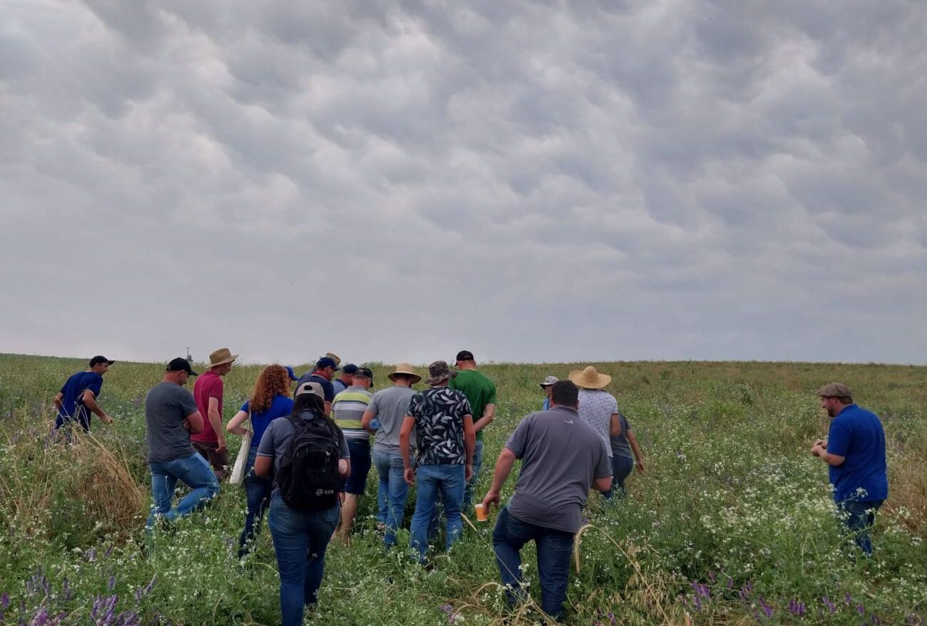 Técnicos e Agricultores de Seara visitam propriedade de Faxinal dos Guedes que é destaque na produção de grãos